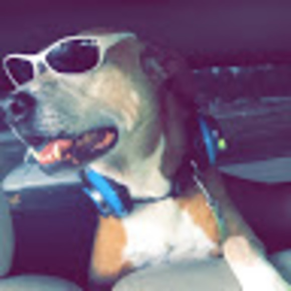 Meet your Posher, Hello - Picture 1 of 1